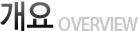 개요