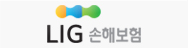 LIG손해보험